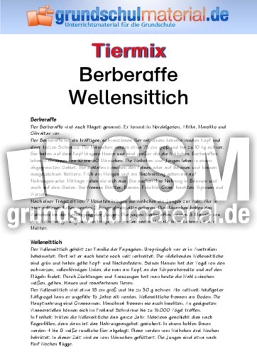 Berberaffe - Wellensittich.pdf
